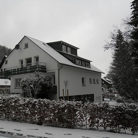 Ferienwohnung Haus Kloosterman Winterberg Exterior foto