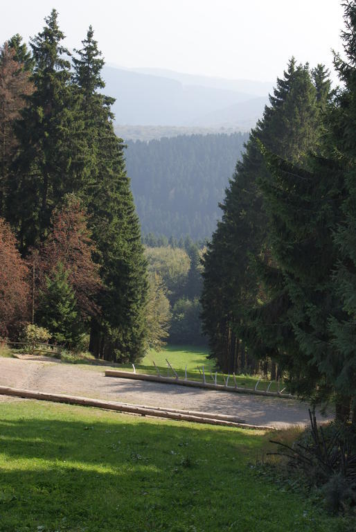 Ferienwohnung Haus Kloosterman Winterberg Exterior foto