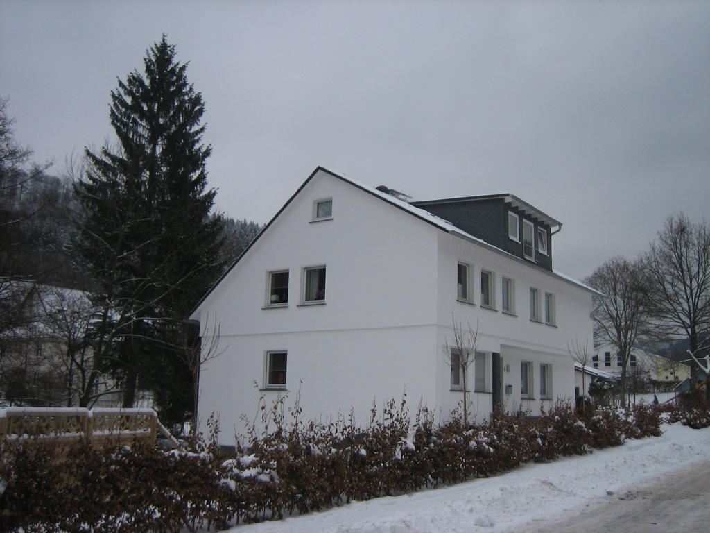 Ferienwohnung Haus Kloosterman Winterberg Exterior foto